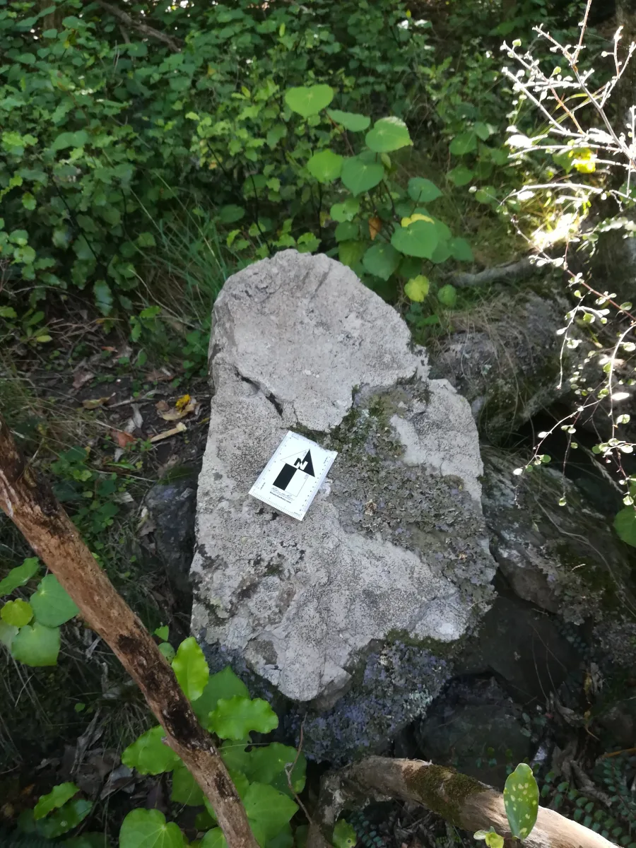 geotech-surveying-rock
